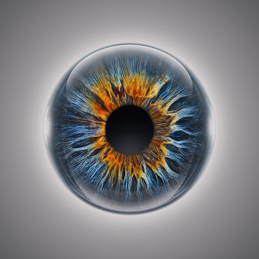 Grüne Iris Beispiel