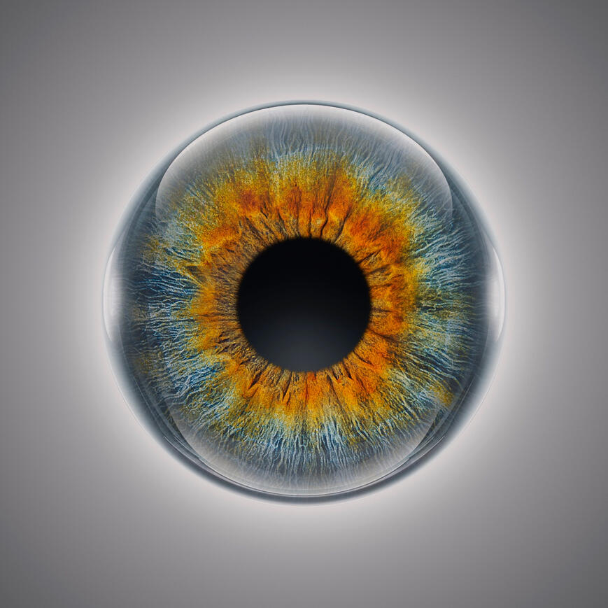 Grüne Iris Beispiel